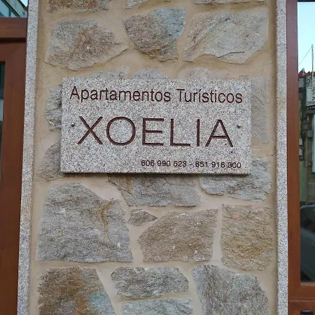 Xoelia ムシア