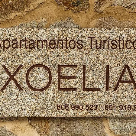 Xoelia * ムシア